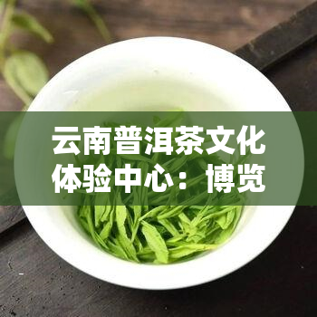 云南普洱茶文化体验中心：博览中国茶叶艺术之美