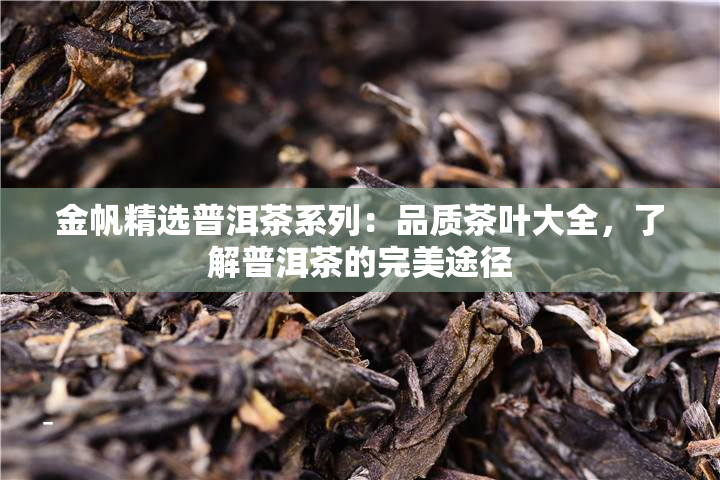 金帆精选普洱茶系列：品质茶叶大全，了解普洱茶的完美途径
