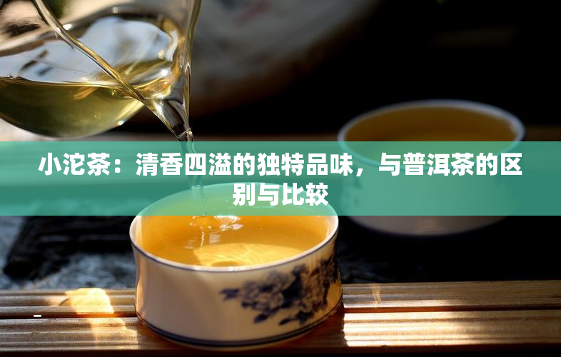 小沱茶：清香四溢的独特品味，与普洱茶的区别与比较