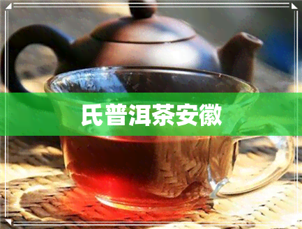 氏普洱茶安徽