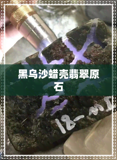 黑乌沙蜡壳翡翠原石