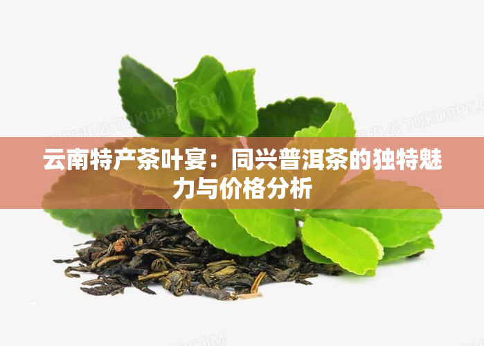 云南特产茶叶宴：同兴普洱茶的独特魅力与价格分析