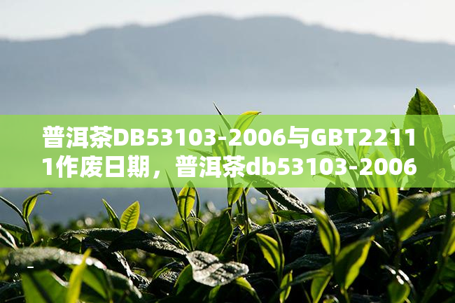 普洱茶DB53103-2006与GBT22111作废日期，普洱茶db53103-2006是什么意思。