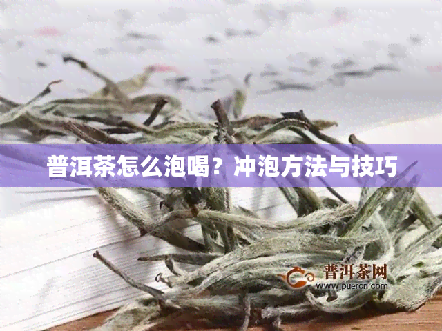 普洱茶怎么泡喝？冲泡方法与技巧