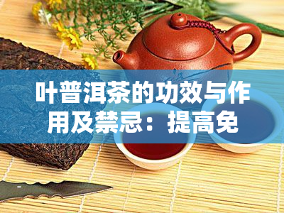 叶普洱茶的功效与作用及禁忌：提高免疫力、降脂减肥、助消化等。