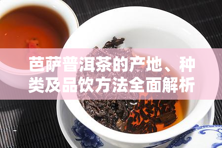 芭萨普洱茶的产地、种类及品饮方法全面解析：一篇解决用户所有疑问的文章