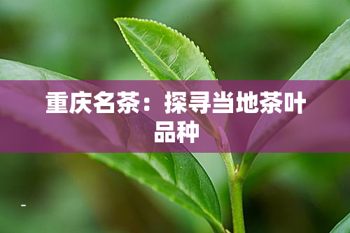 重庆名茶：探寻当地茶叶品种