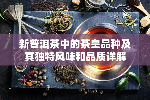 新普洱茶中的茶皇品种及其独特风味和品质详解