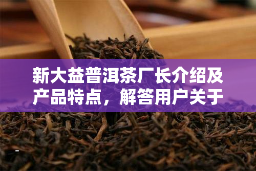 新大益普洱茶厂长介绍及产品特点，解答用户关于普洱茶的疑问与需求