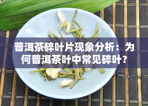 普洱茶碎叶片现象分析：为何普洱茶叶中常见碎叶？