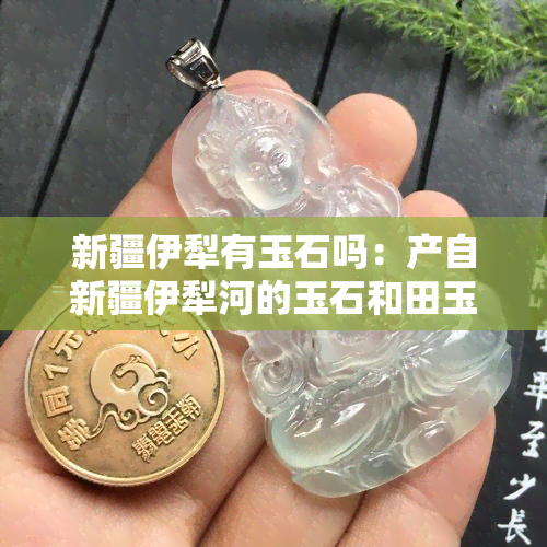 新疆伊犁有玉石吗：产自新疆伊犁河的玉石和田玉等品种是否存在？