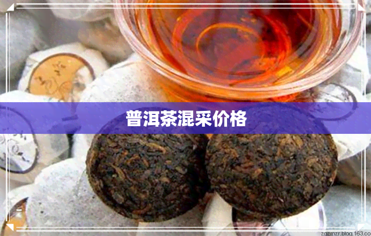 普洱茶混采价格