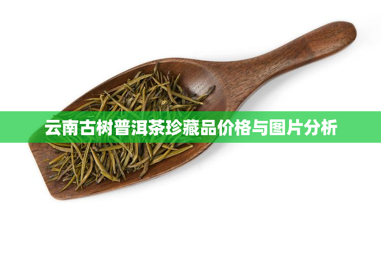 云南古树普洱茶珍藏品价格与图片分析