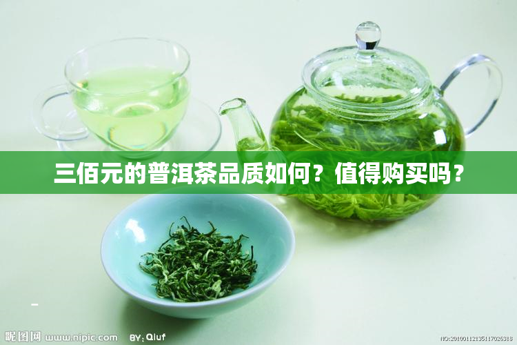 三佰元的普洱茶品质如何？值得购买吗？