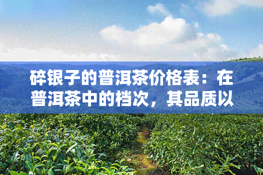 碎银子的普洱茶价格表：在普洱茶中的档次，其品质以及简介 - 百度百科