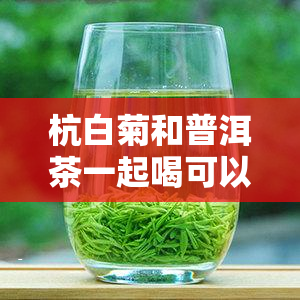 杭白菊和普洱茶一起喝可以吗？同时泡、吃有什么功效？