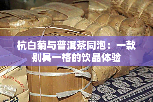 杭白菊与普洱茶同泡：一款别具一格的饮品体验