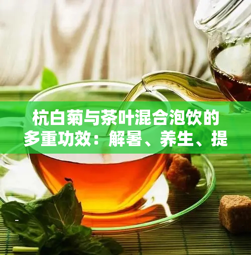 杭白菊与茶叶混合泡饮的多重功效：解暑、养生、提神一网打尽