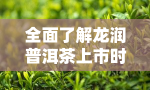 全面了解龙润普洱茶上市时间表：从生产到发售的时间线解析