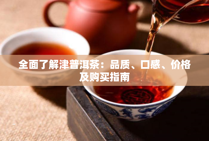 全面了解津普洱茶：品质、口感、价格及购买指南