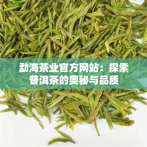 勐海茶业官方网站：探索普洱茶的奥秘与品质