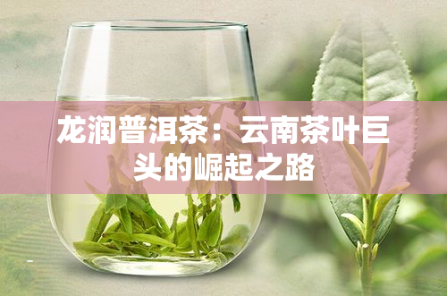龙润普洱茶：云南茶叶巨头的崛起之路