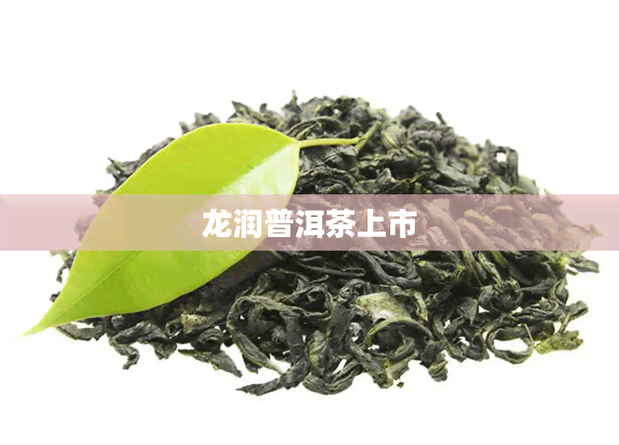 龙润普洱茶上市