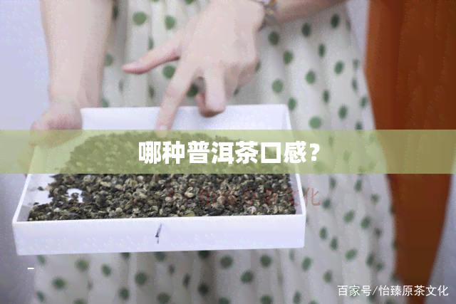 哪种普洱茶口感？