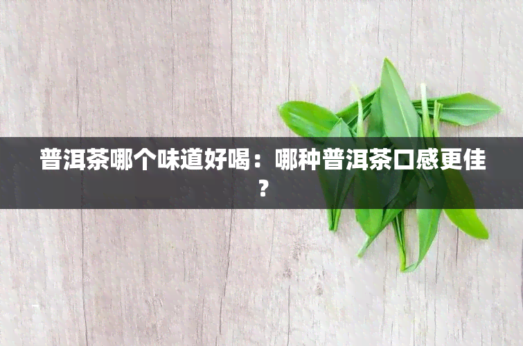 普洱茶哪个味道好喝：哪种普洱茶口感更佳？