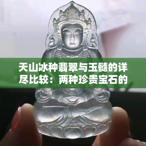 天山冰种翡翠与玉髓的详尽比较：两种珍贵宝石的异同