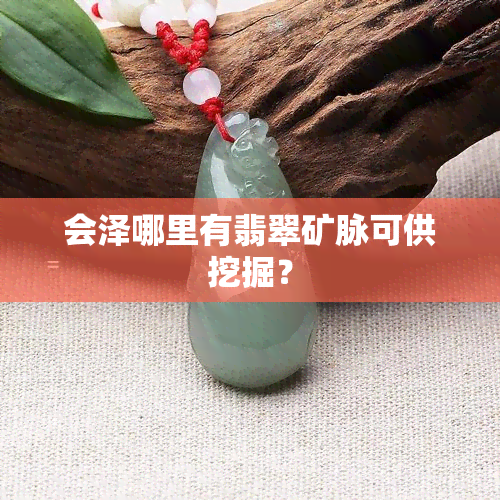 会泽哪里有翡翠矿脉可供挖掘？