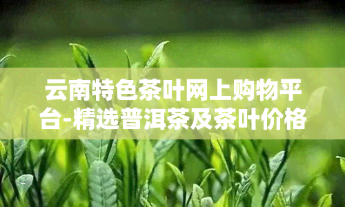 云南特色茶叶网上购物平台-精选普洱茶及茶叶价格大全