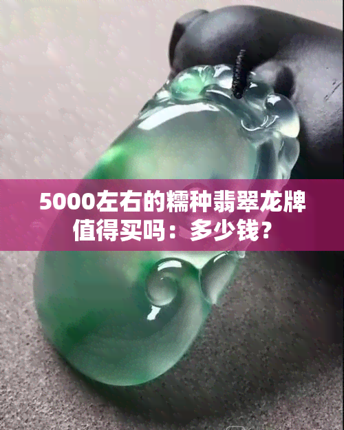 5000左右的糯种翡翠龙牌值得买吗：多少钱？