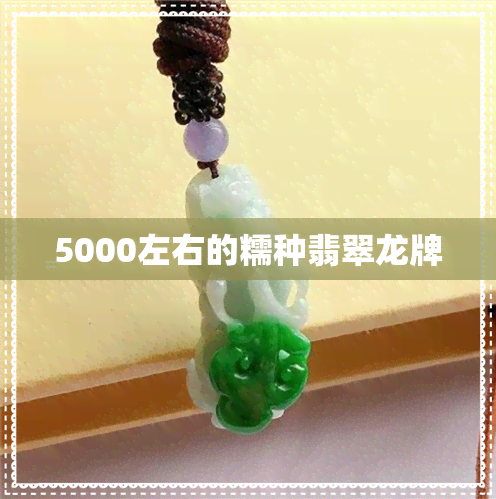 5000左右的糯种翡翠龙牌