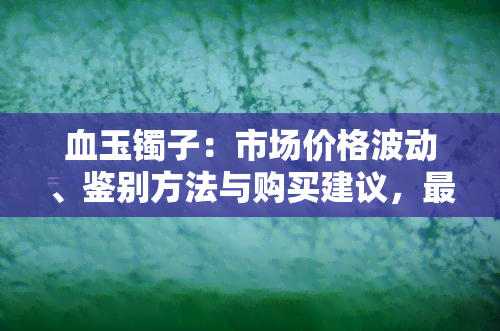 血玉镯子：市场价格波动、鉴别方法与购买建议，更高价到底是多少？