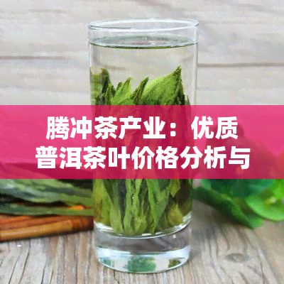 腾冲茶产业：优质普洱茶叶价格分析与平台货源探讨