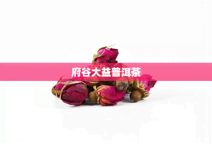 府谷大益普洱茶