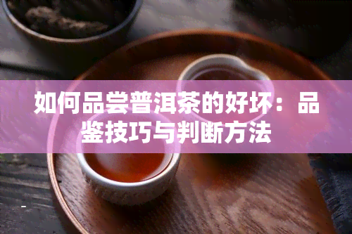 如何品尝普洱茶的好坏：品鉴技巧与判断方法