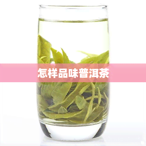 怎样品味普洱茶