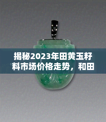 揭秘2023年田黄玉籽料市场价格走势，和田黄石与黄玉的魅力对比分析