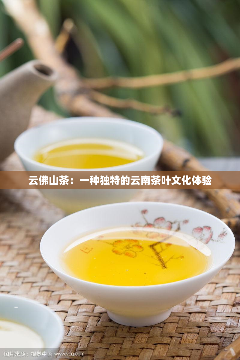 云佛山茶：一种独特的云南茶叶文化体验
