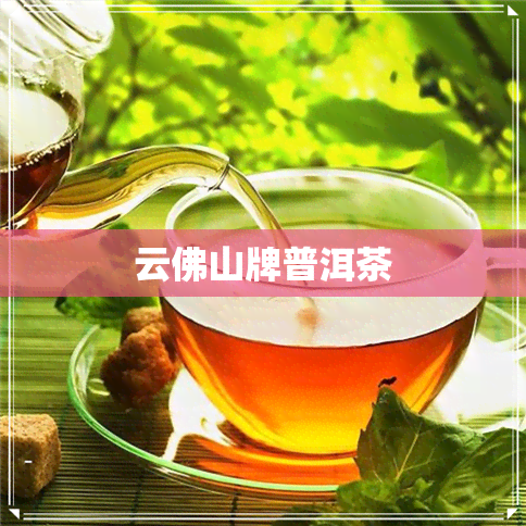 云佛山牌普洱茶