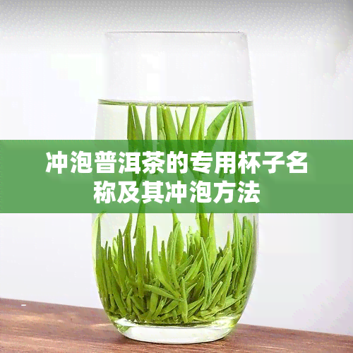 冲泡普洱茶的专用杯子名称及其冲泡方法