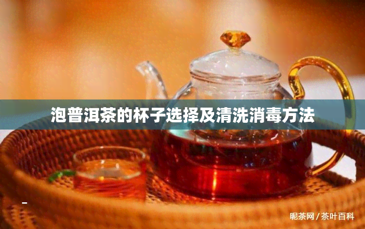 泡普洱茶的杯子选择及清洗消方法