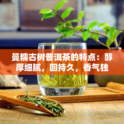 曼糯古树普洱茶的特点：醇厚细腻，回持久，香气独特。