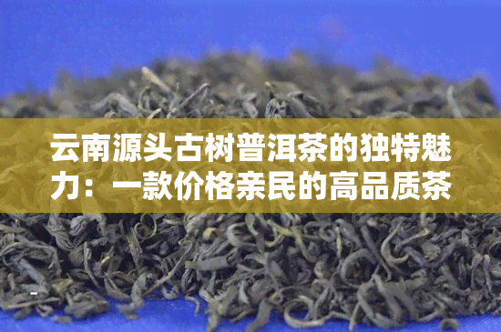 云南源头古树普洱茶的独特魅力：一款价格亲民的高品质茶叶体验