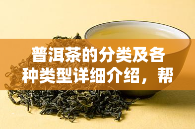 普洱茶的分类及各种类型详细介绍，帮助您全面了解普洱茶的世界