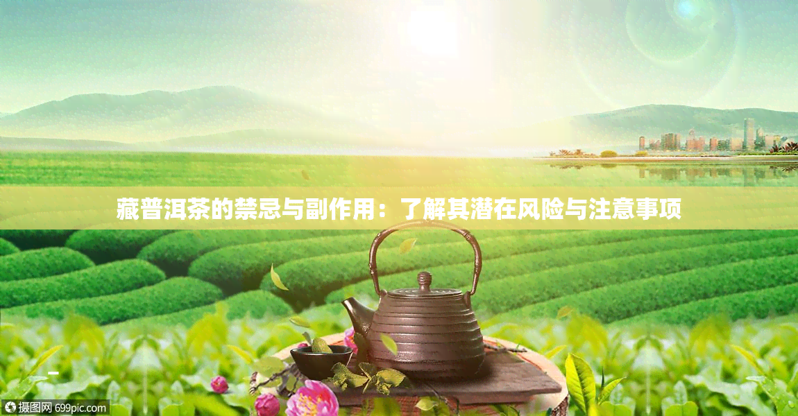 藏普洱茶的禁忌与副作用：了解其潜在风险与注意事项