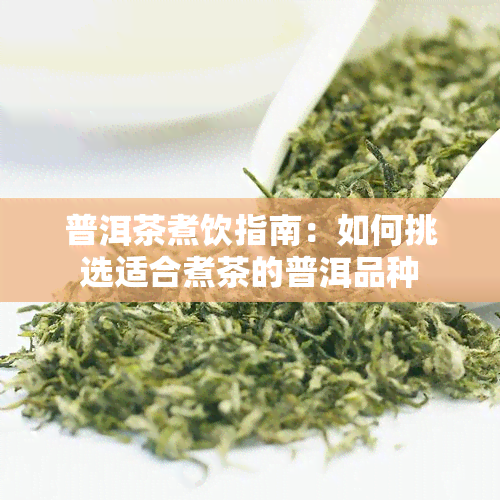 普洱茶煮饮指南：如何挑选适合煮茶的普洱品种