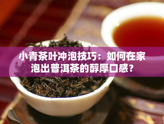 小青茶叶冲泡技巧：如何在家泡出普洱茶的醇厚口感？